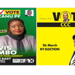 Is it true that Tagwirei sponsored Biti’s opponent in the just ended By-Elections?