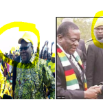 Biti v Tagwirei – Round 2, says Brian Manyati
