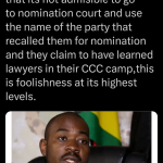 Illiteracy in Motion – The Case of Chatunga Mugabe’s Misconstruction of the validity and legality of Tshabangu’s Application to Disqualify By-election Candidates Using the Recall Affair as a Weapon.