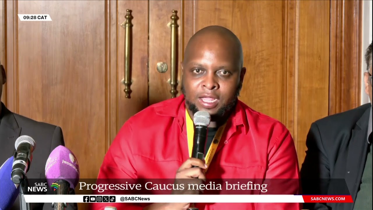 Members of the Progressive Caucus, including the Economic Freedom Fighters (EFF) and the United Democratic Movement (UDM), hold a media briefing ahead of the 7th Parliament's first sitting.
