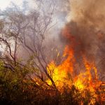 Climate Change in Africa: The Disproportionate Burden and Adaptation Strategies for 2025