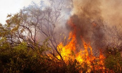 Photo by Eclipse Chasers: https://www.pexels.com/photo/30805406/